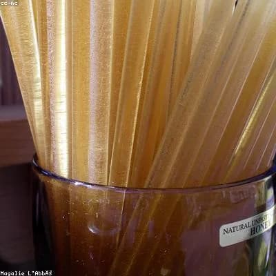 Zöld Sarok Nursery